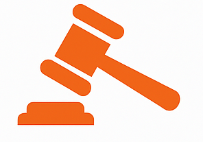 7. If the Bailiff Acts Illegally or Under a Defective Warrant ICON
